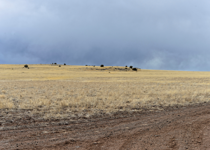 AZ-Apache 107-33-288 -1