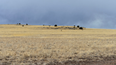 AZ-Apache 107-33-289