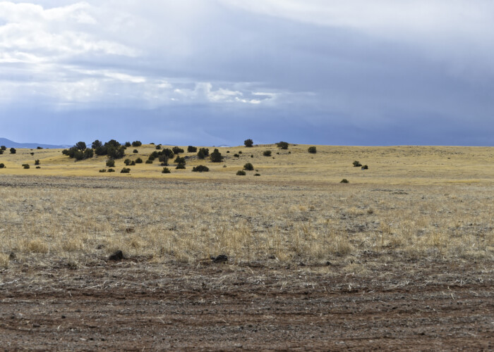 AZ-Apache-107-33-519 (5)