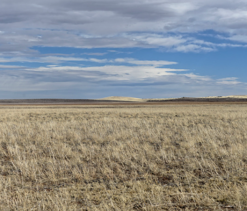 AZ-Apache-107-33-519