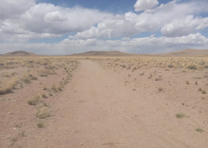 CO-Costilla 70392060 (10)