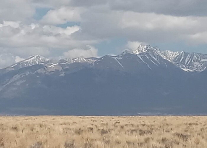 CO-Costilla 70392060 (14)