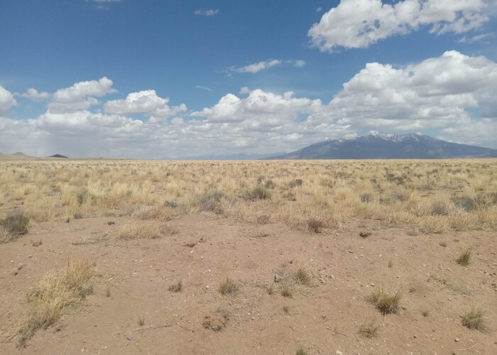 CO-Costilla 70392060 (17)