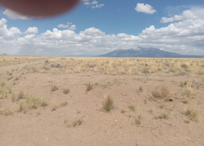 CO-Costilla 70392060 (2)