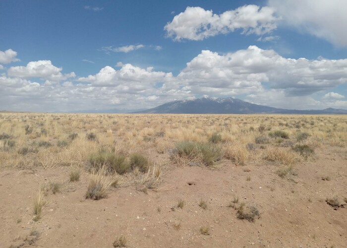 CO-Costilla 70392060 (3)