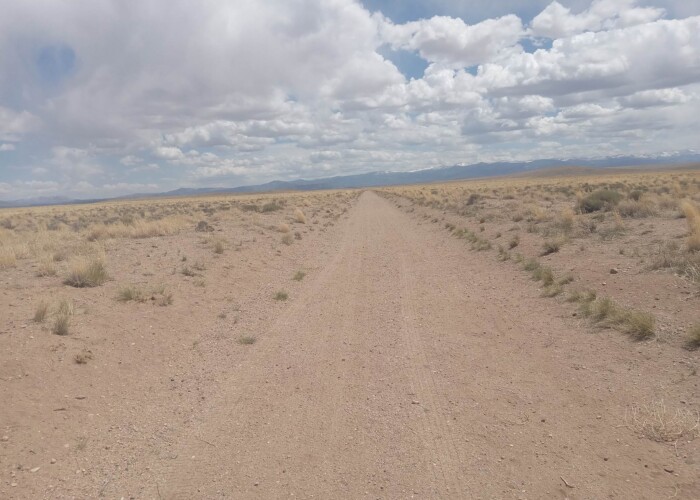 CO-Costilla 70392060 (5)