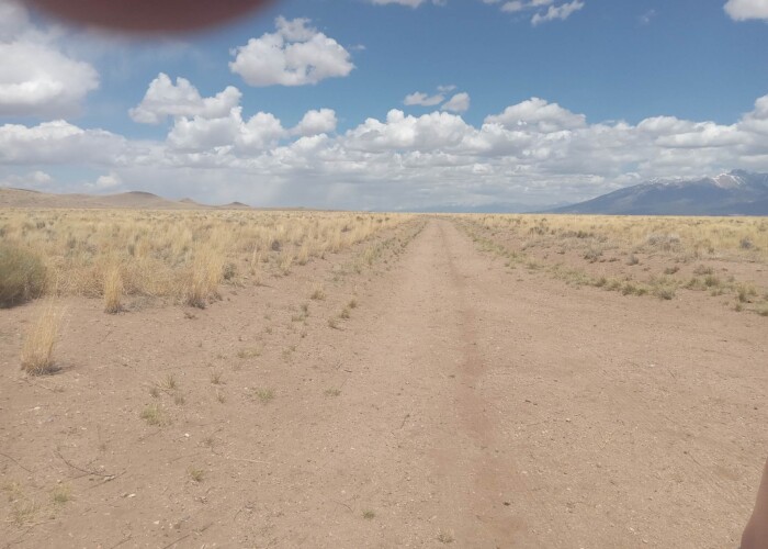 CO-Costilla 70392060 (7)