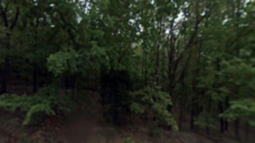 AR-Izard-800-11618-000