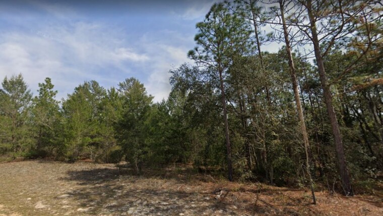 FL-Putnam-07-10-24-7071-0330-0120 -Hamilton