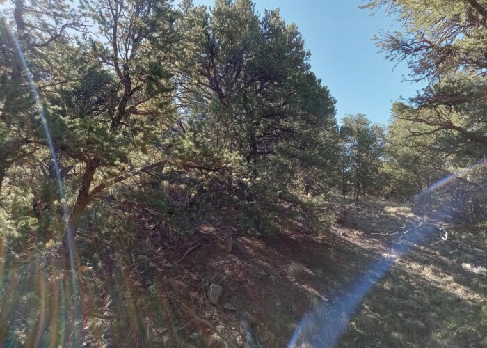 362670732_627000365870874_886653271812686700_n (1)