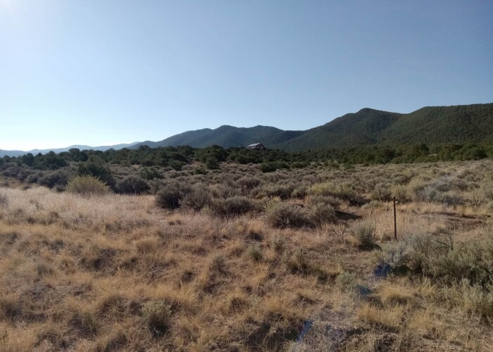 363832078_6738161602871434_1770629777165853949_n (1)