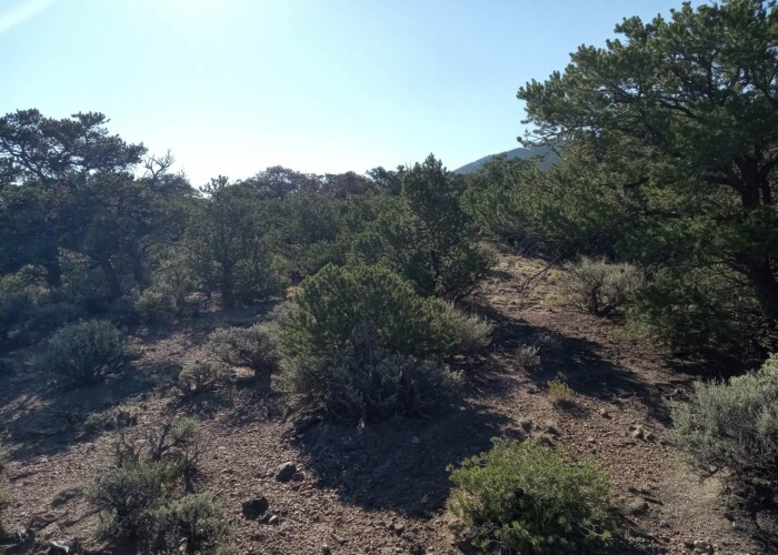 363849717_1411428459647914_4599448293814906069_n (1)