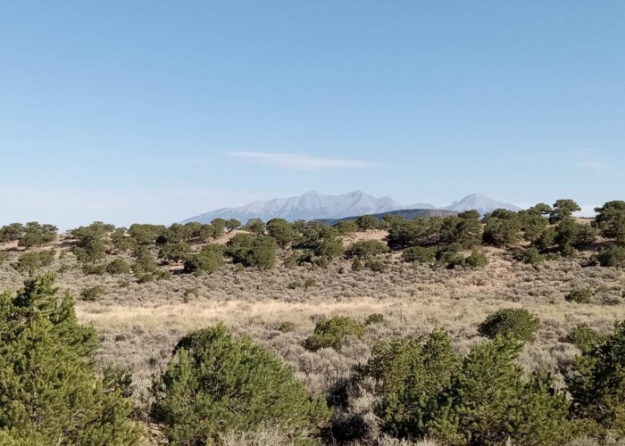 365119912_2531830753644758_3867464145699381525_n (1) (1)