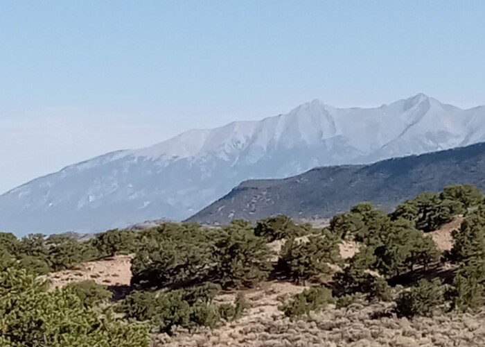 365152409_629949829117691_4123550079154991692_n (1) (1)