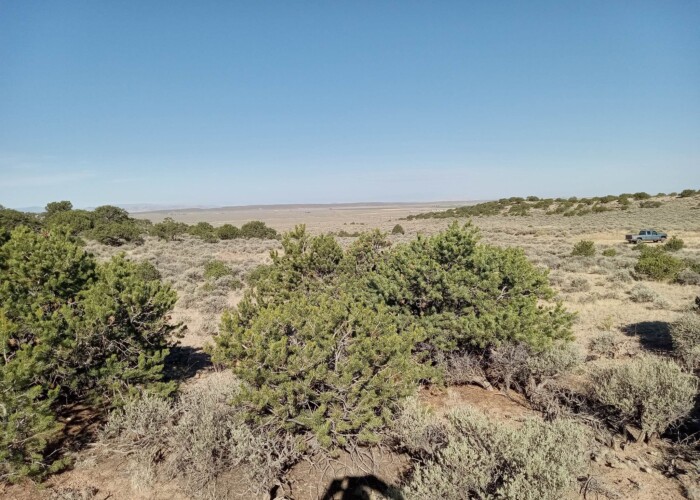 365166778_7004155702945890_7523895065865364461_n (1)