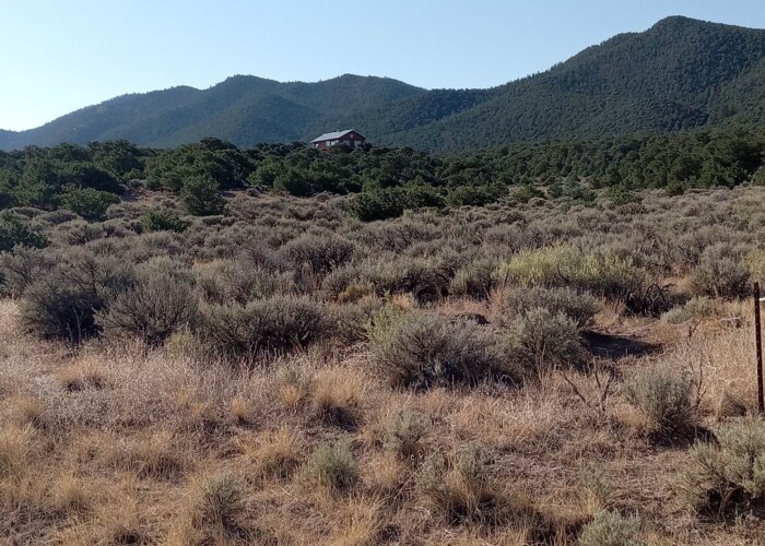 365809147_318895560679209_7130520995761714180_n