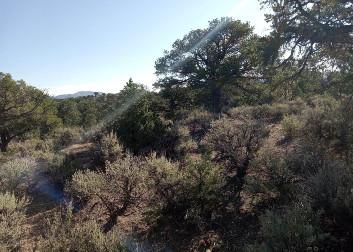 366084093_6444371368932490_2740041225180028463_n