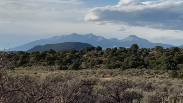 Co-Costilla-70220160-MG