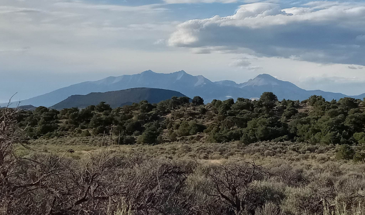 Co-Costilla-70220160-MG