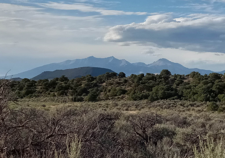 Co-Costilla-70220160-MG