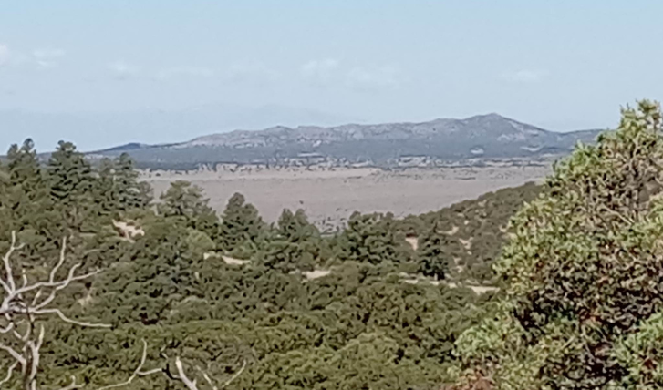 CO-Costilla-70234600-TN