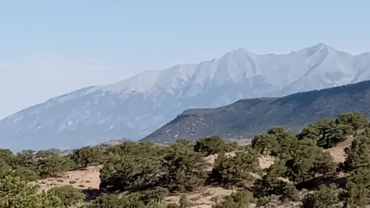 CO-Costilla-70220830 -MJ