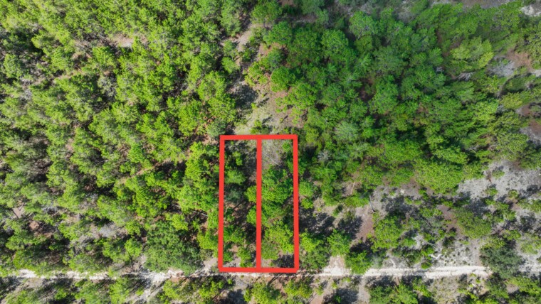 FL-Putnam-11-10-23-1670-0020-0100/0110-Okura