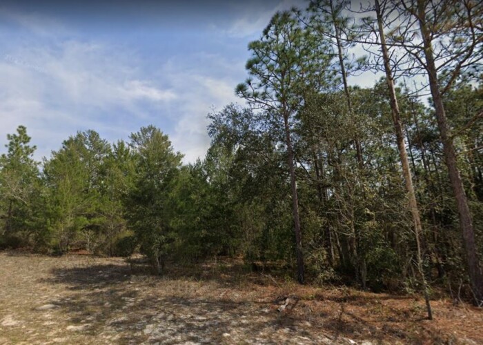 FL-Putnam-07-10-24-7071-0330-0120-Street (1) (1)